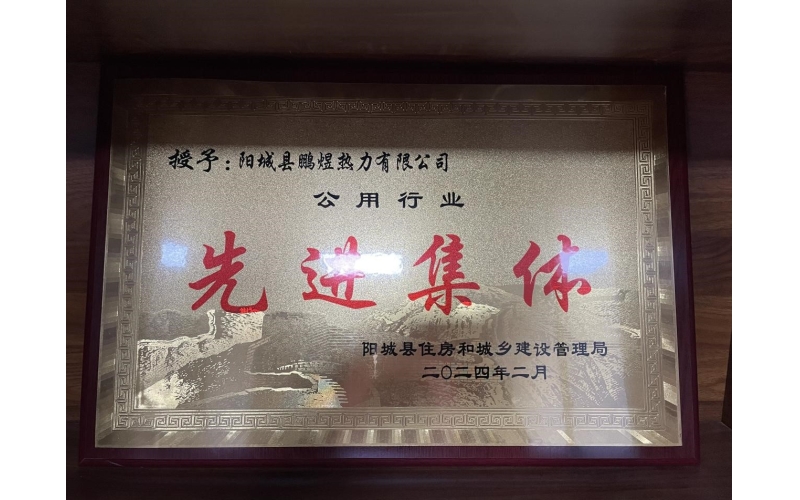 鹏煜热力荣获住建局公用行业供暖&ldquo;先进集体&rdquo;荣誉称号